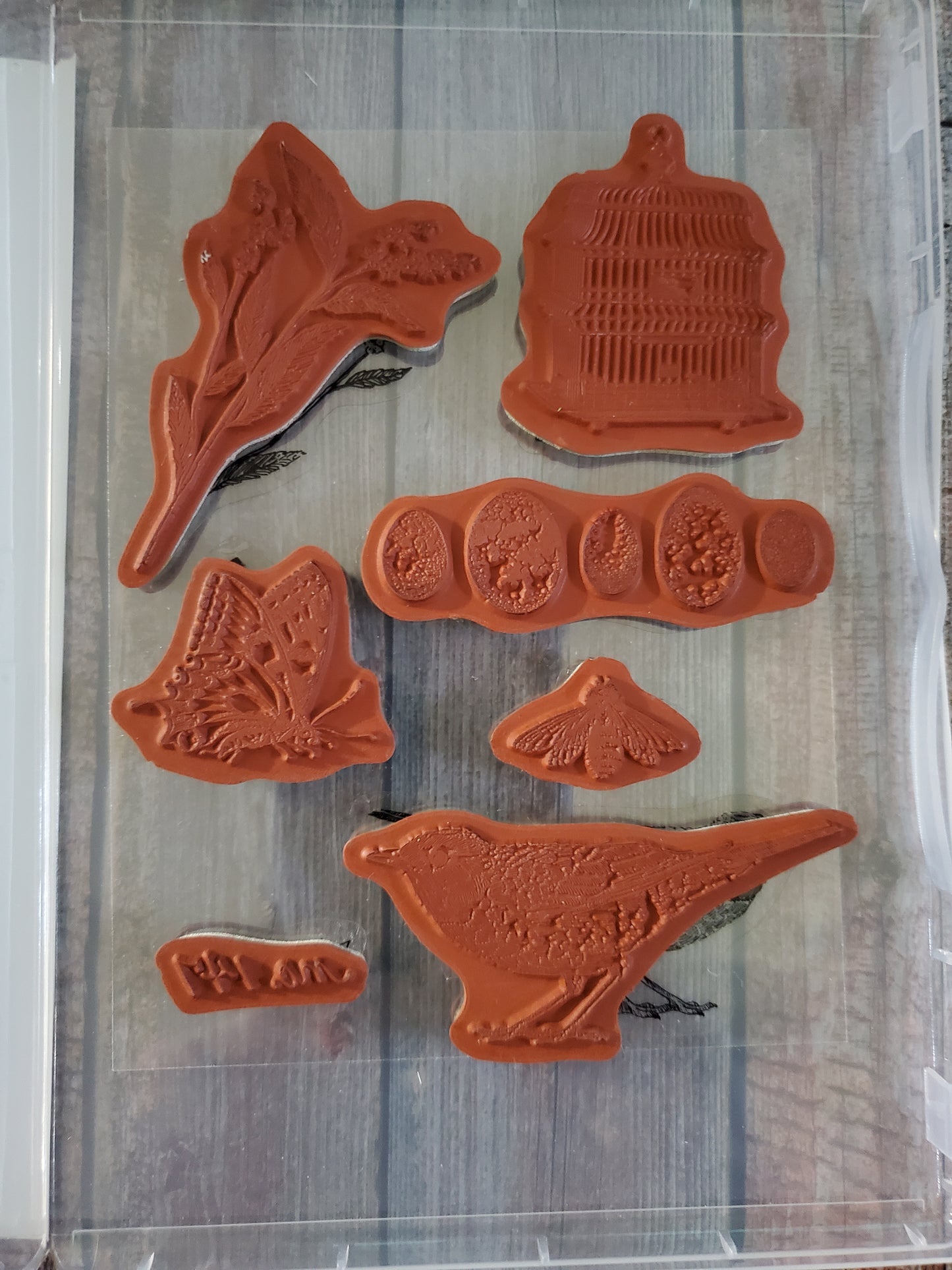 Stampin' UP! "Nature Walk" Stamp Set