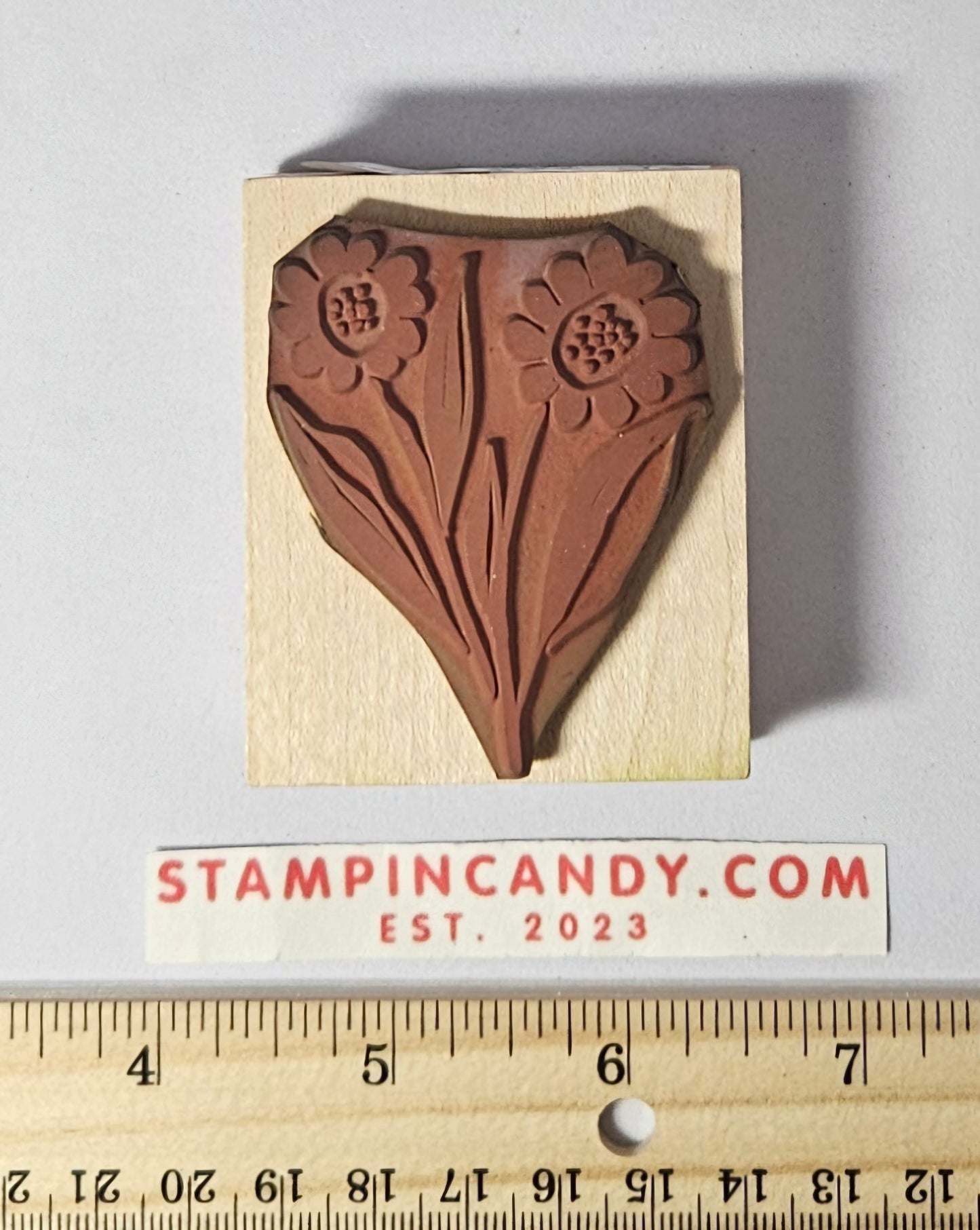 Designer Daisies Stamp - Hero Arts 2003 E2670