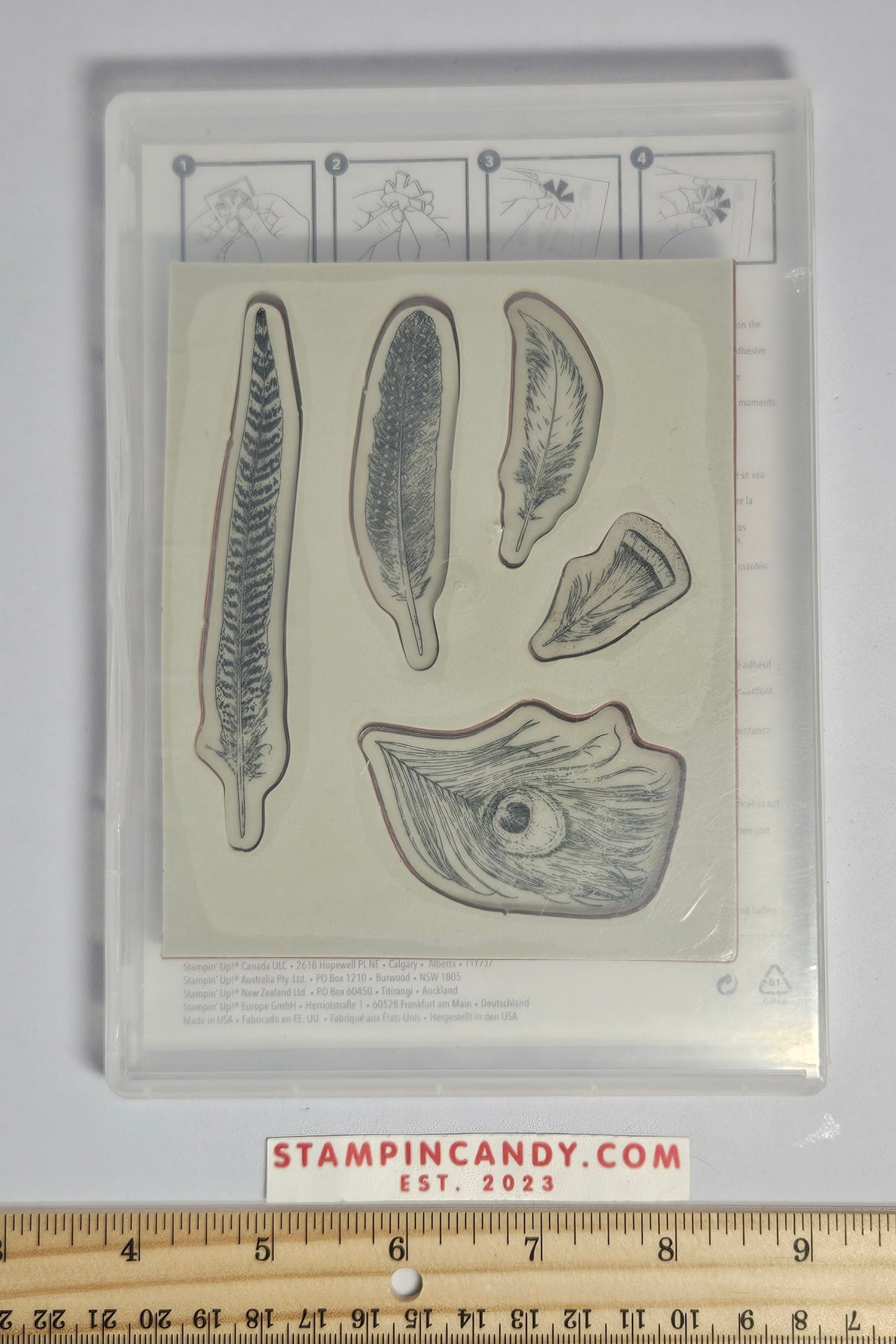 Stampin Up - Fine Feathers