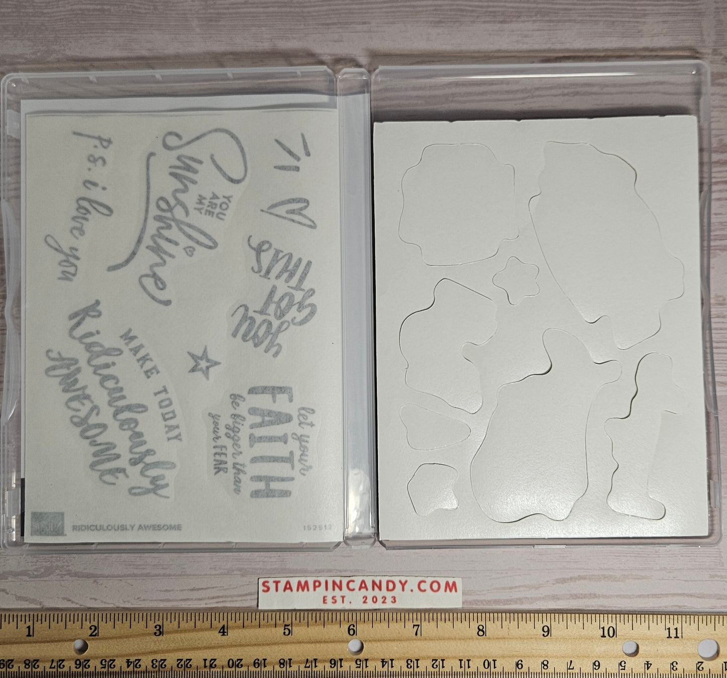 Stampin Up - Ridiculously Awesome