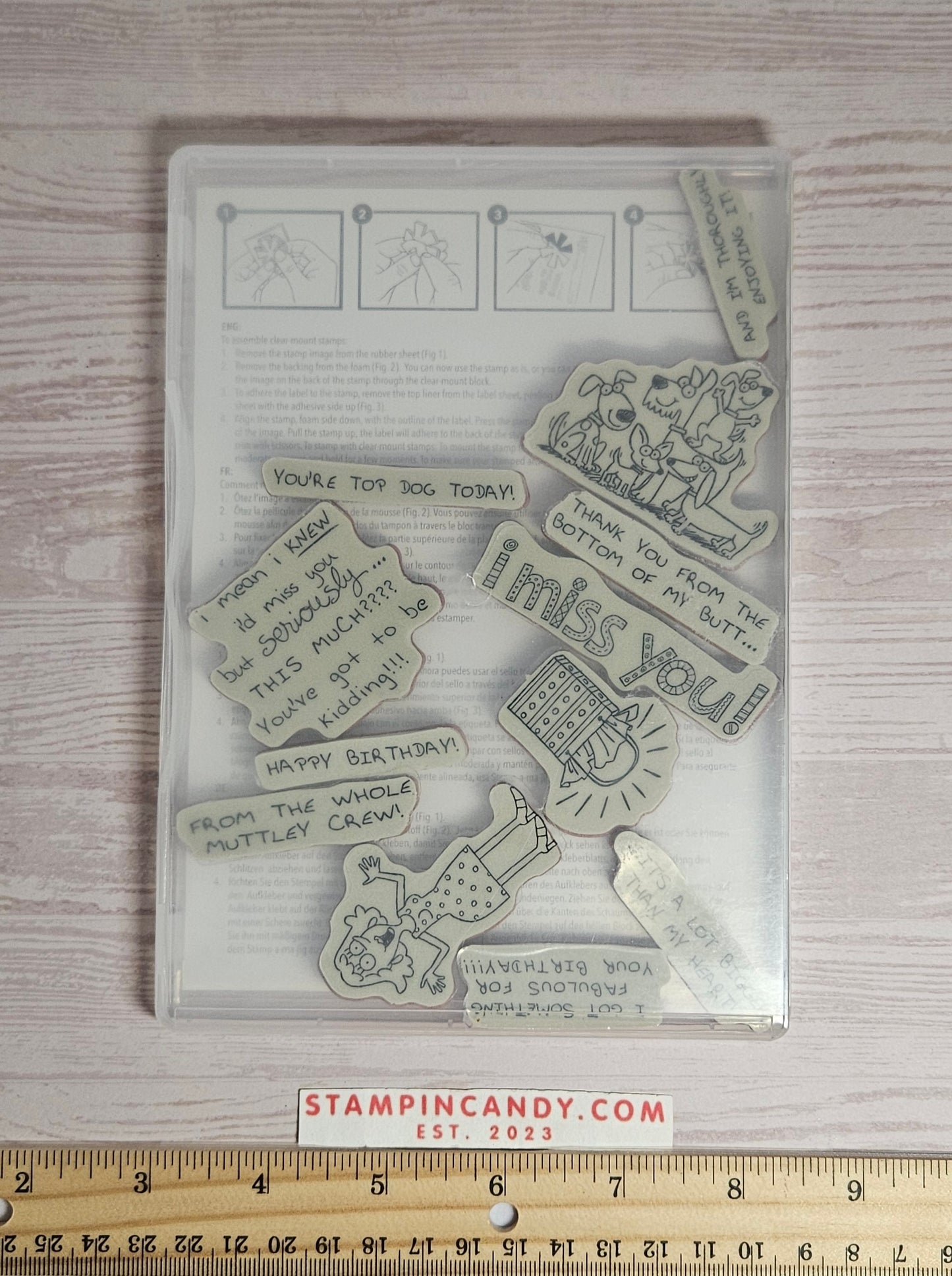 Stampin Up - Not So Seriously