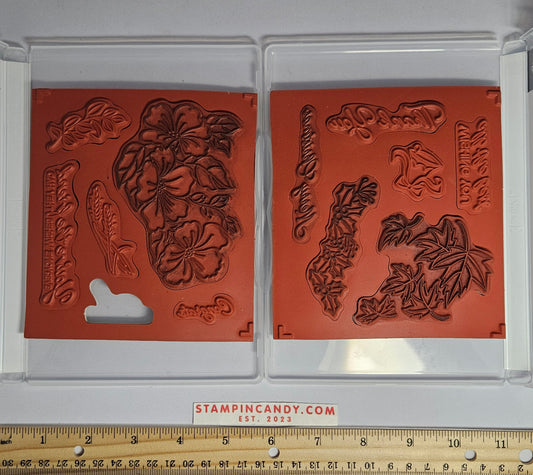 Stampin Up - Blended Seasons (Sets 1 and 2 of 2) (1 Missing Stamp)