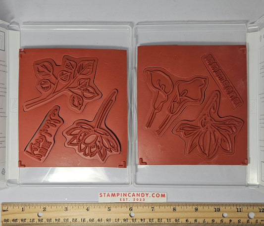 Stampin Up - Remarkable You (Sets 1 & 2 of 2)