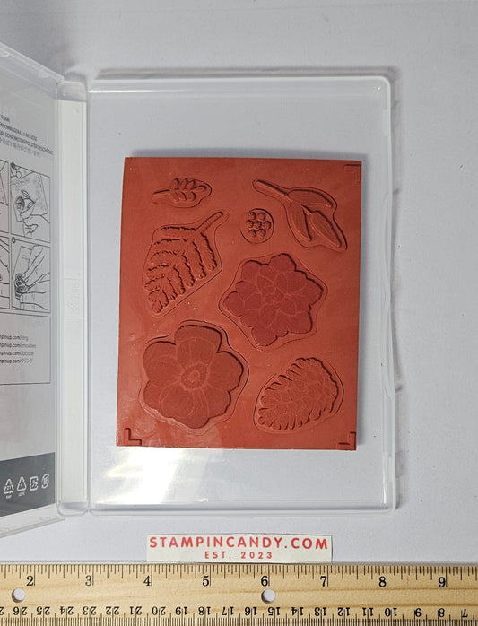 Stampin Up - Painted Seasons