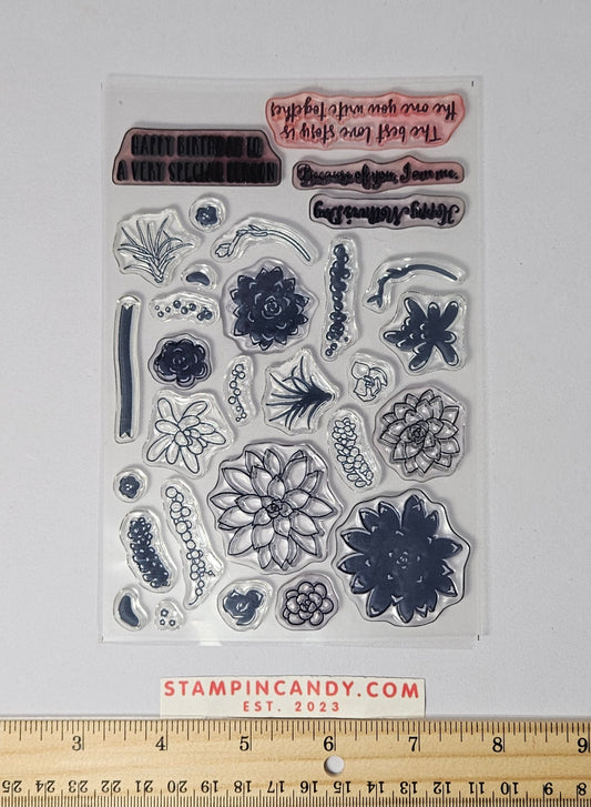 Stampin Up - Oh So Succulent