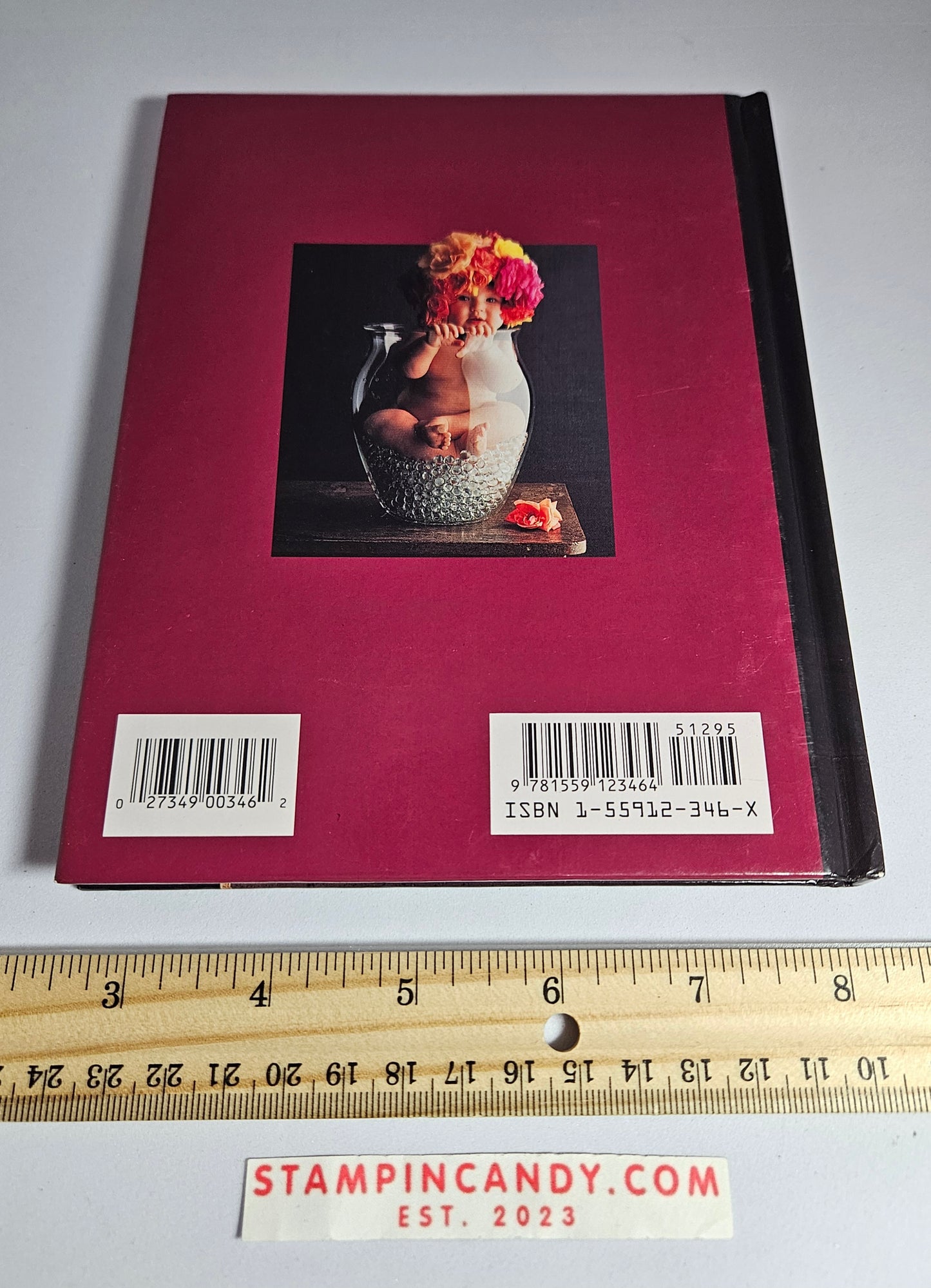 Anne Geddes Address Book