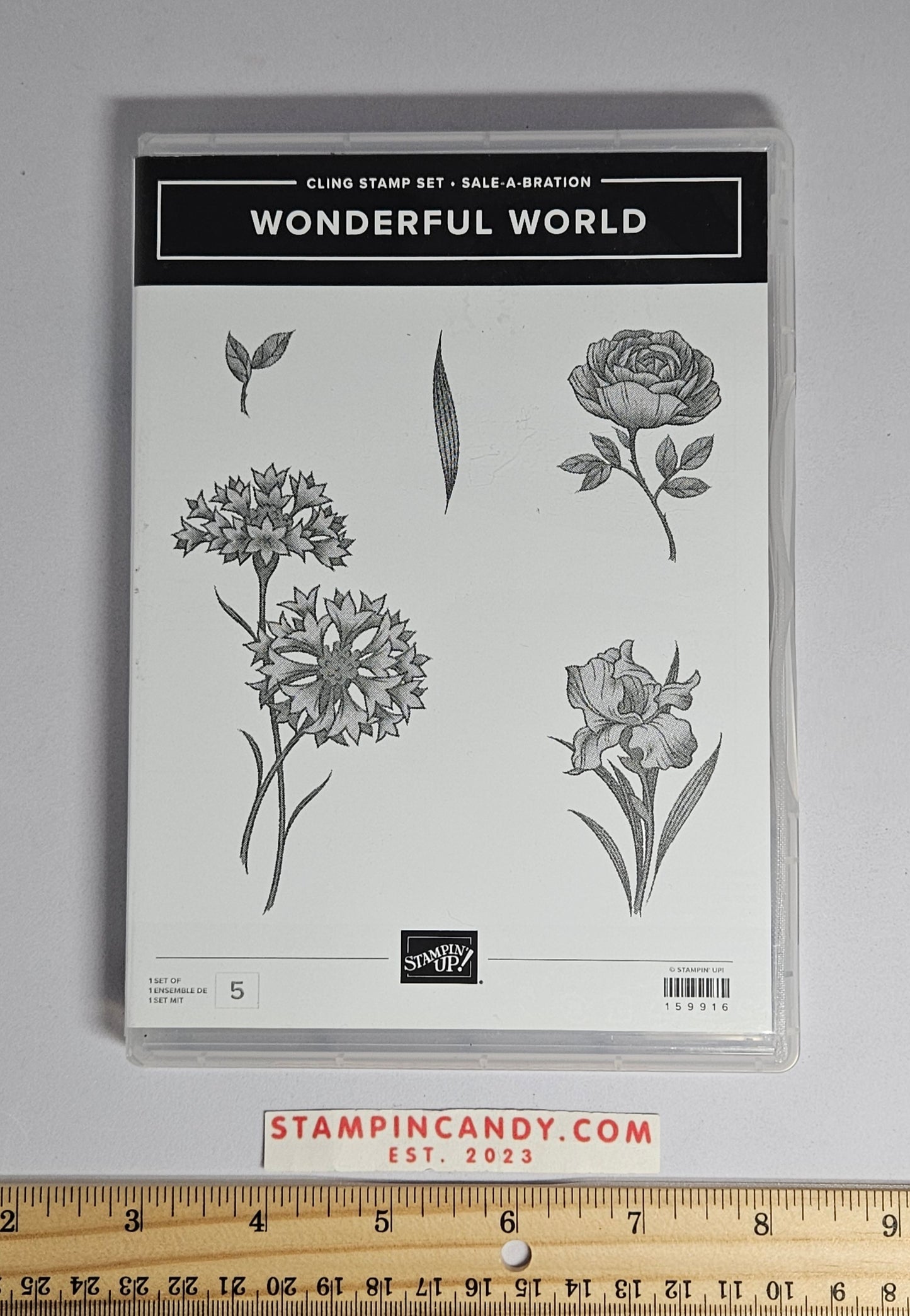 Stampin Up - Wonderful World