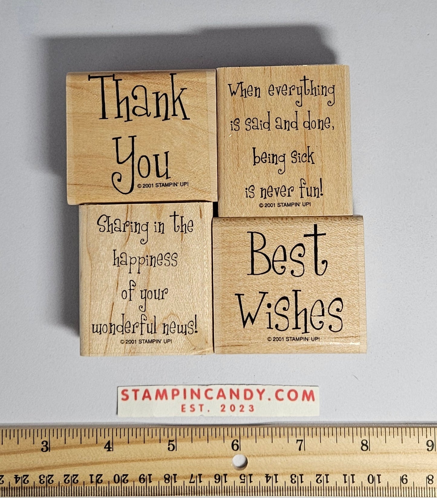 Stampin Up - Cheery Chat (Both Sets 1 + 2) (No Case)