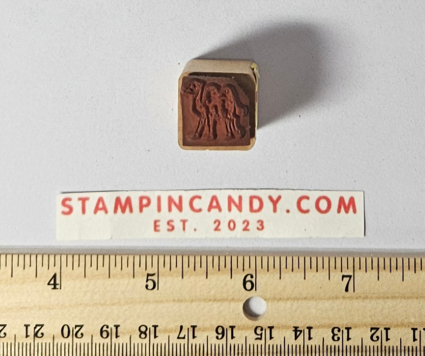 Camel Stamp