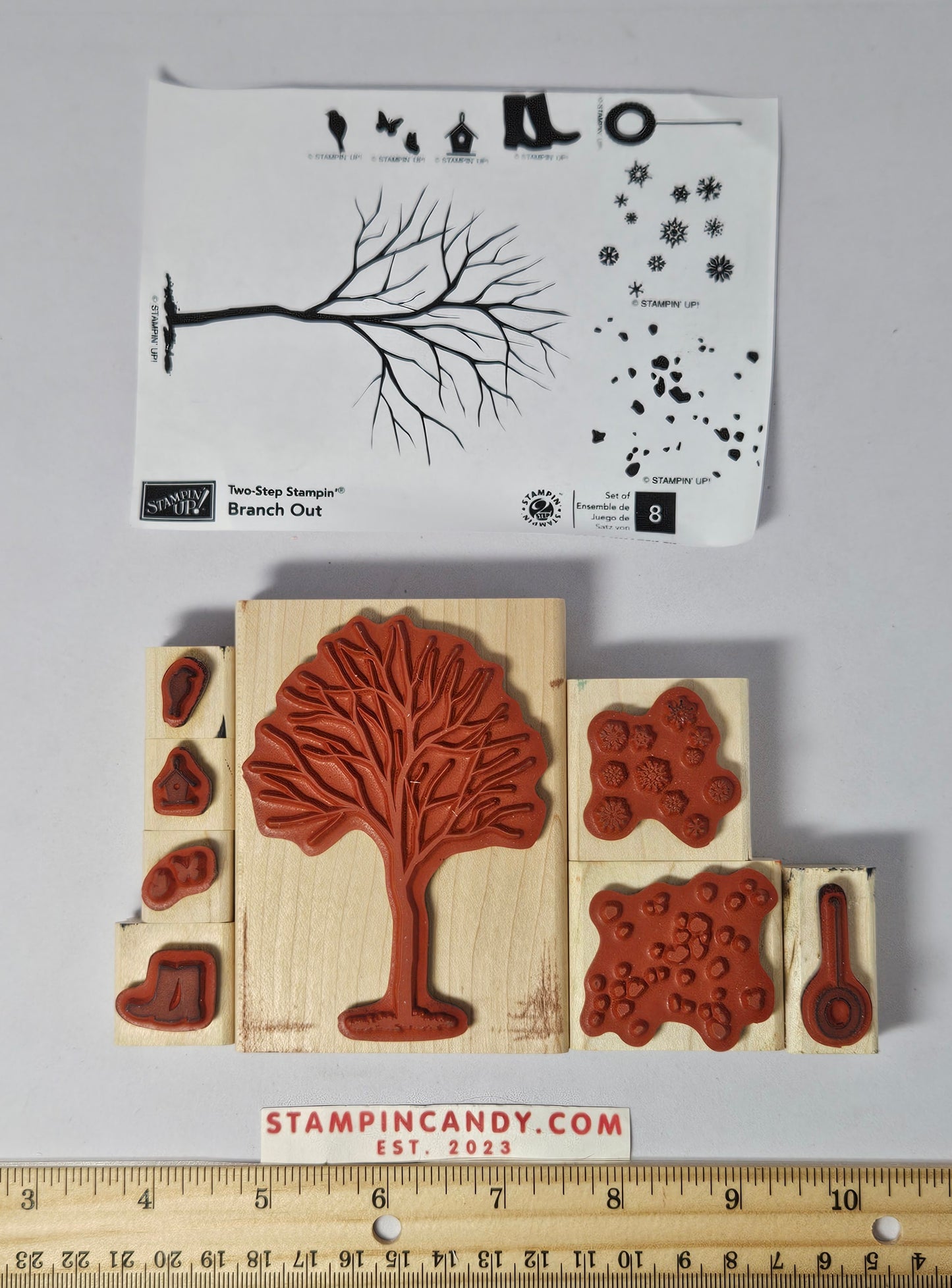 Stampin Up - Branch Out