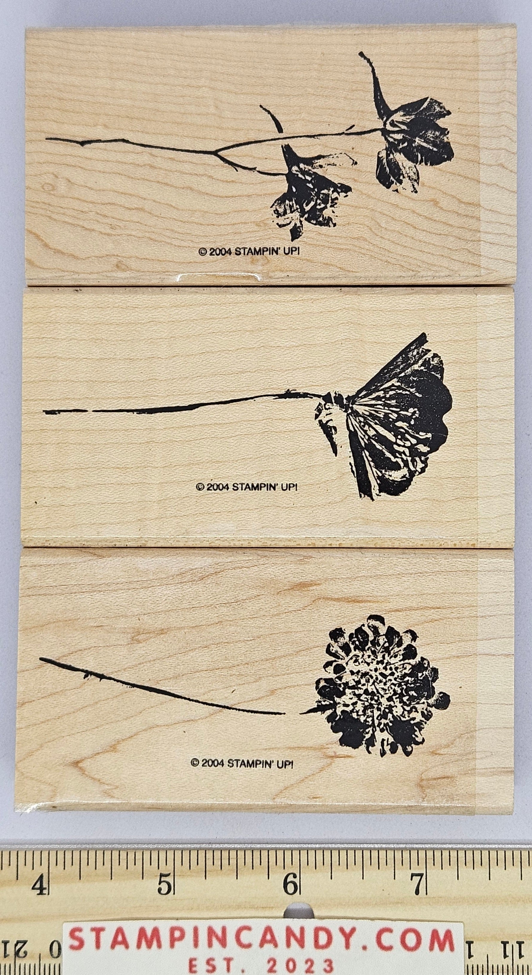 Stampin Up - More Petal Prints Stamp Set – StampinCandy.com
