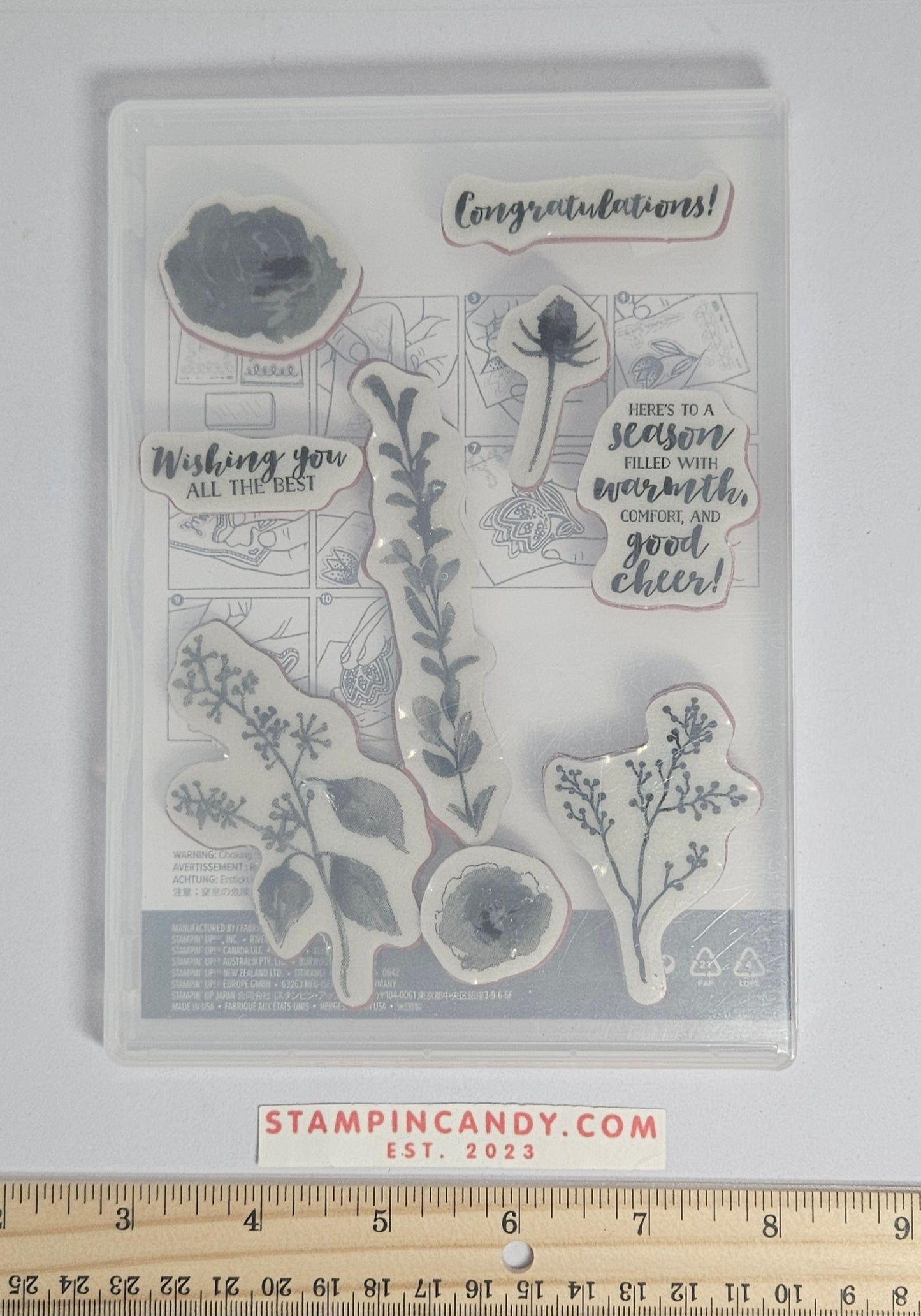 Stampin Up - First Frost