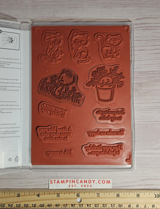 Stampin Up - Pretty Kitty