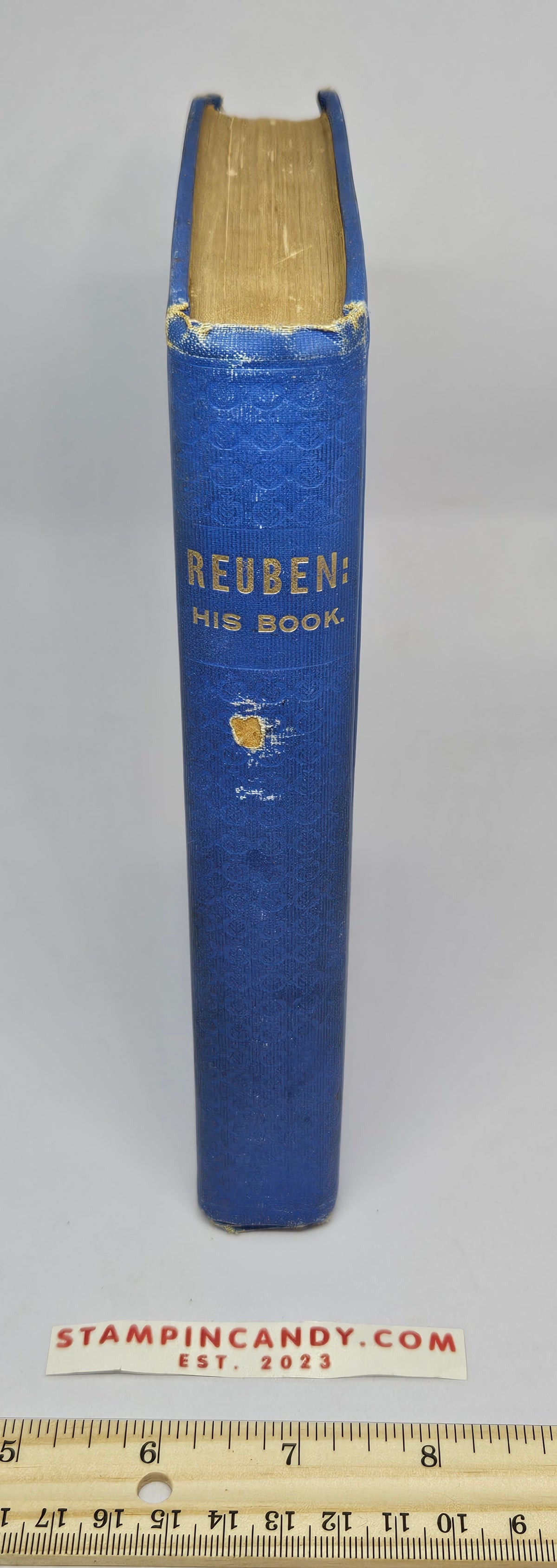 Reuben: His Book - Morton H. Pemberton - 1904 Antique