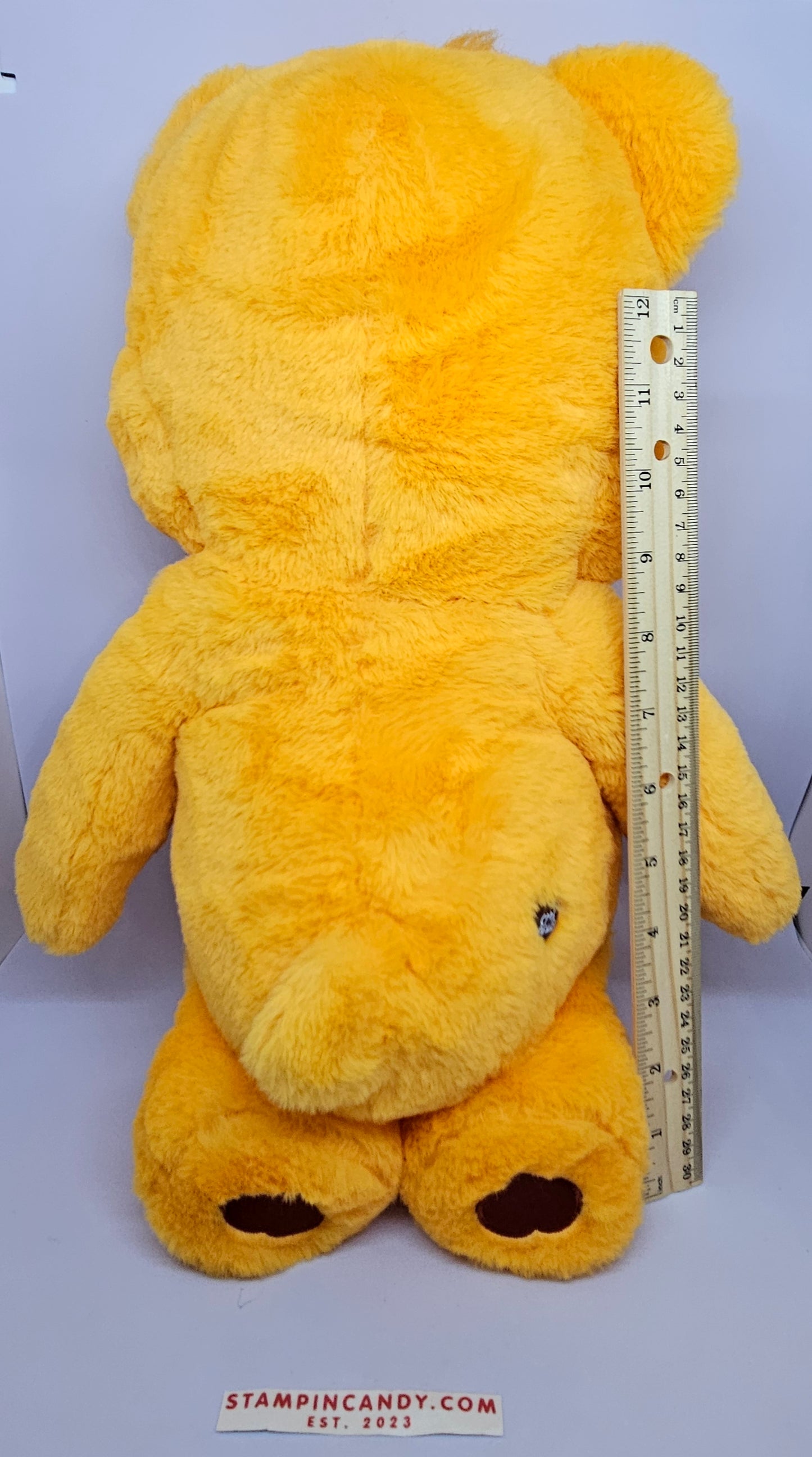 2021 Tenderheart Care Bear 18"