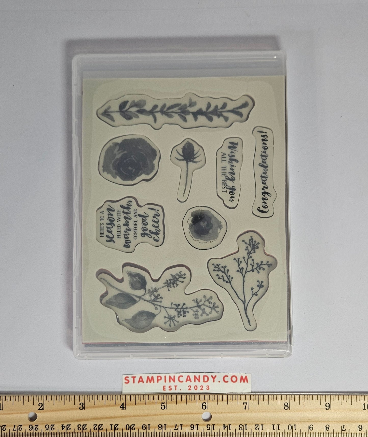 Stampin Up - First Frost