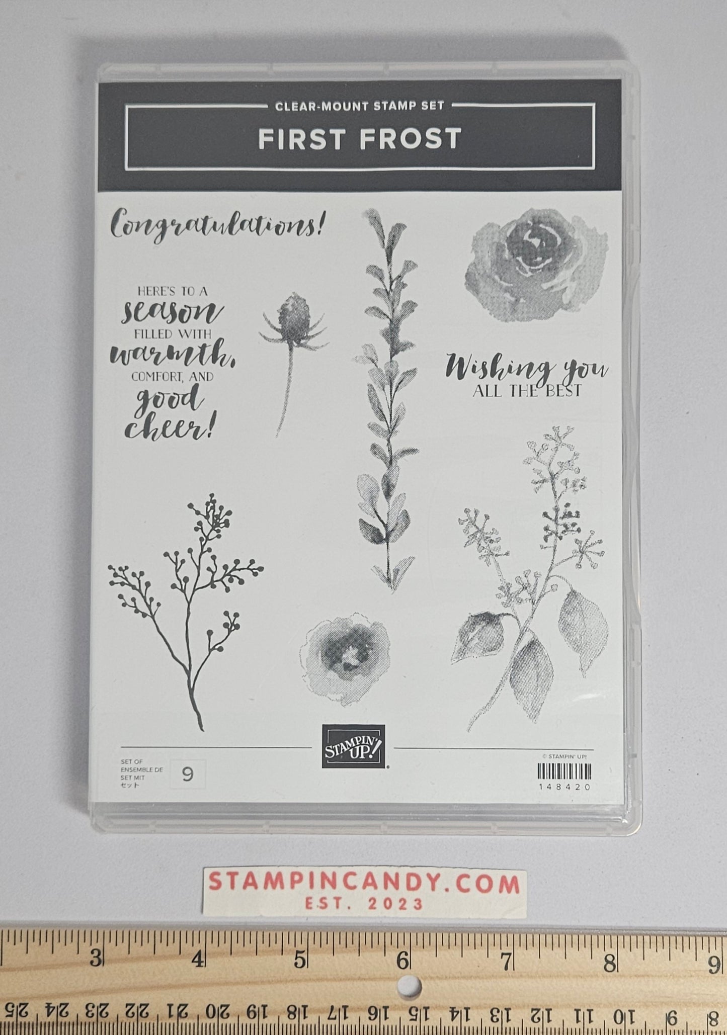 Stampin Up - First Frost