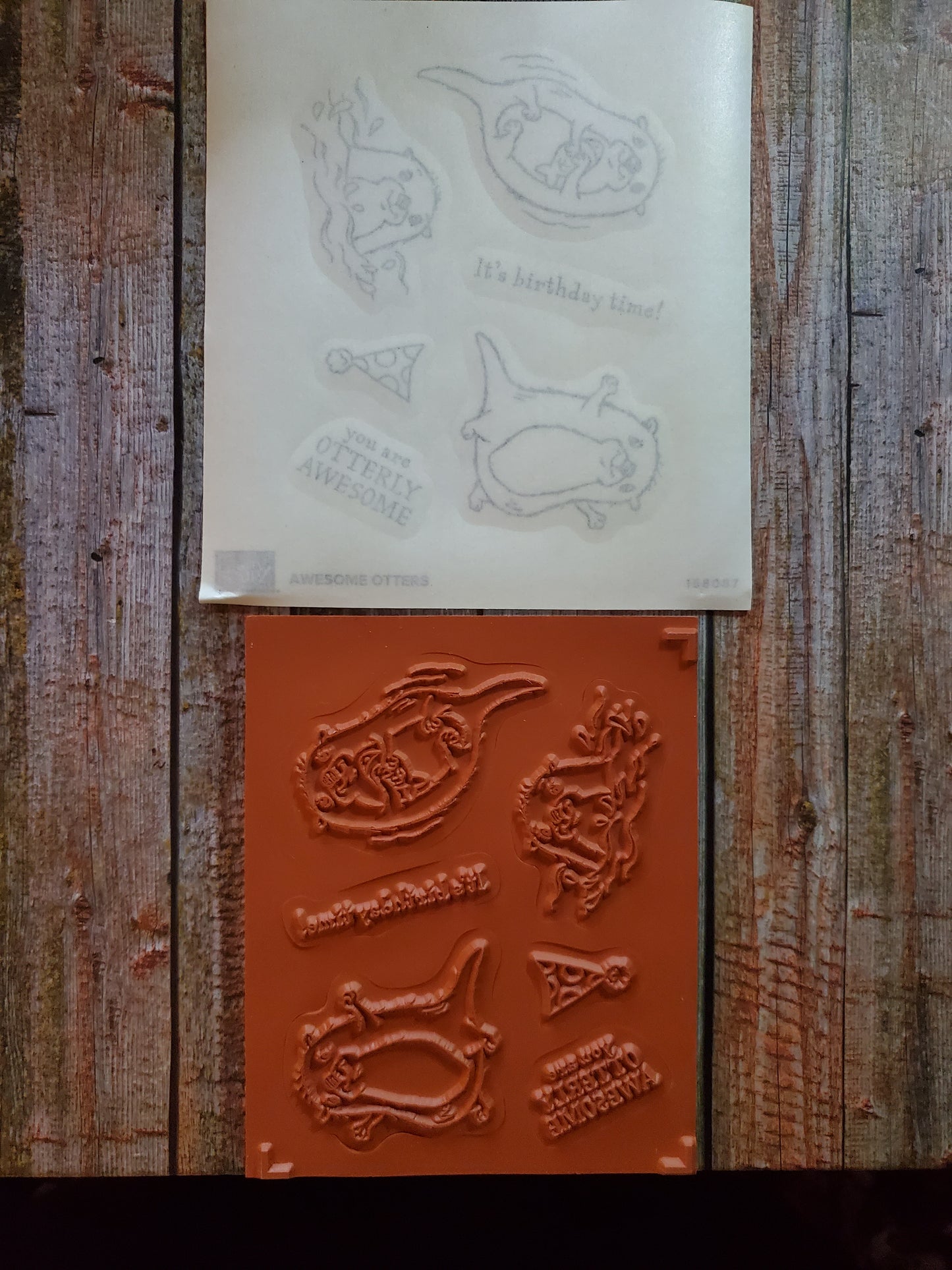 Stampin' UP! "Awesome Otters" Stamp Set