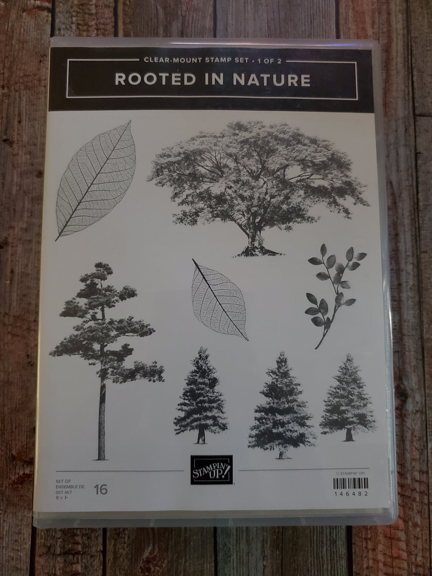 Stampin' UP! "Rooted in Nature" Stamp Set with "Nature's Roots" Dies