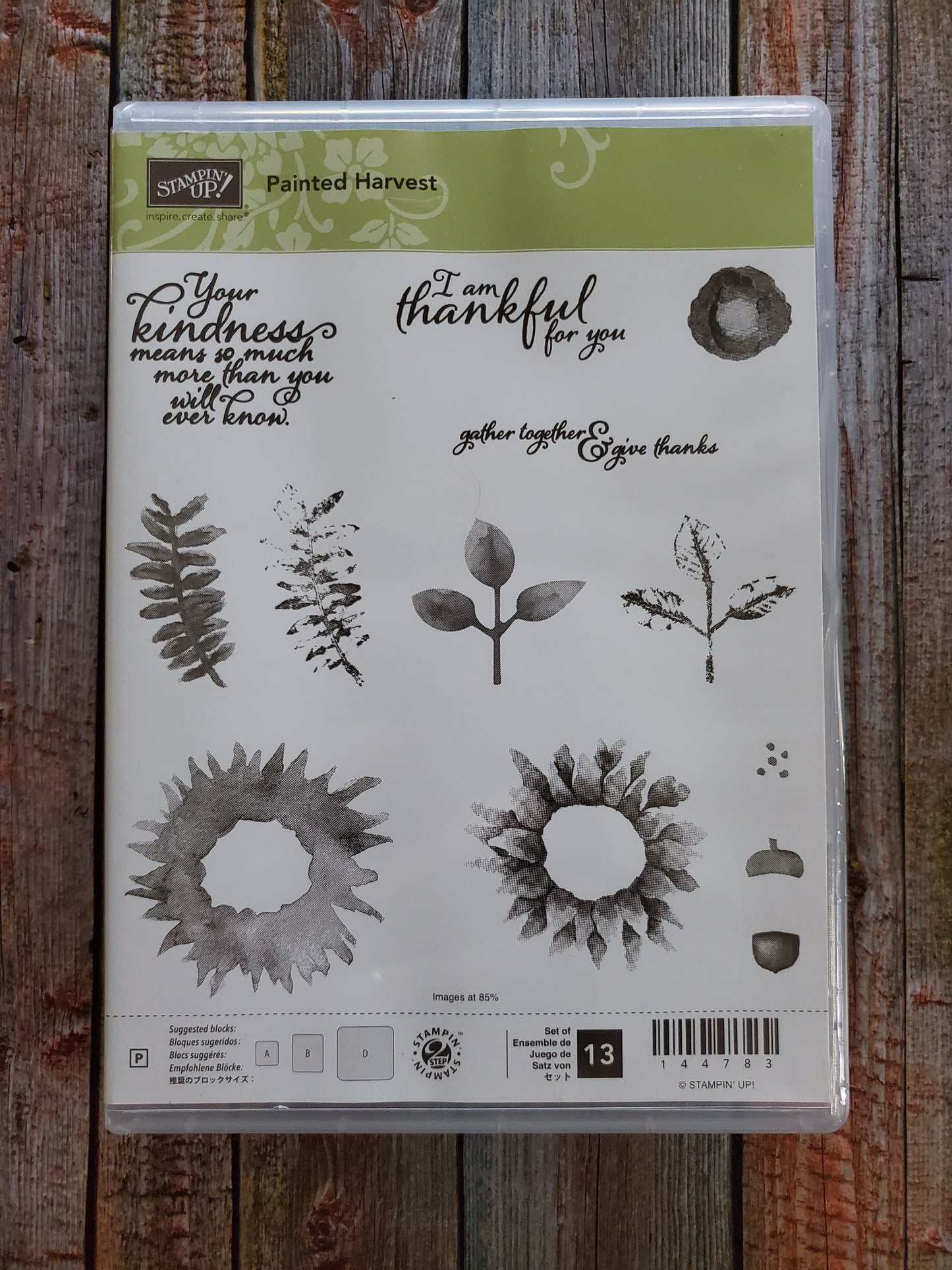 Stampin' UP! "Painted Harvest" Stamp Set