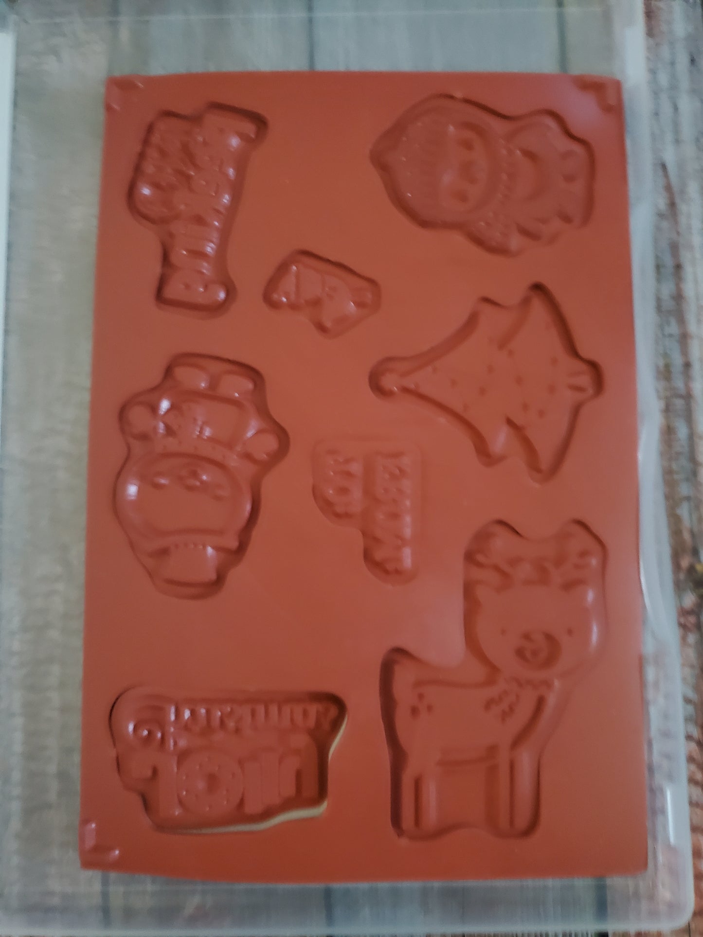 Stampin' UP! "No Peeking" Stamp Set