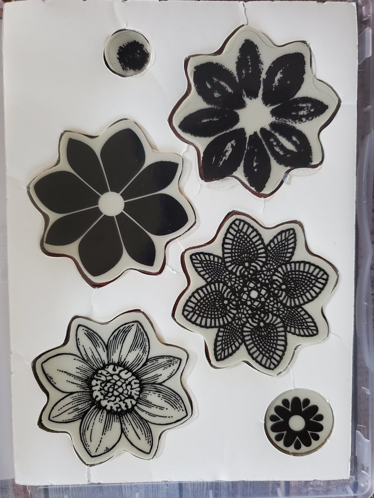 Stampin' UP! "Petal Potpourri" Stamp Set