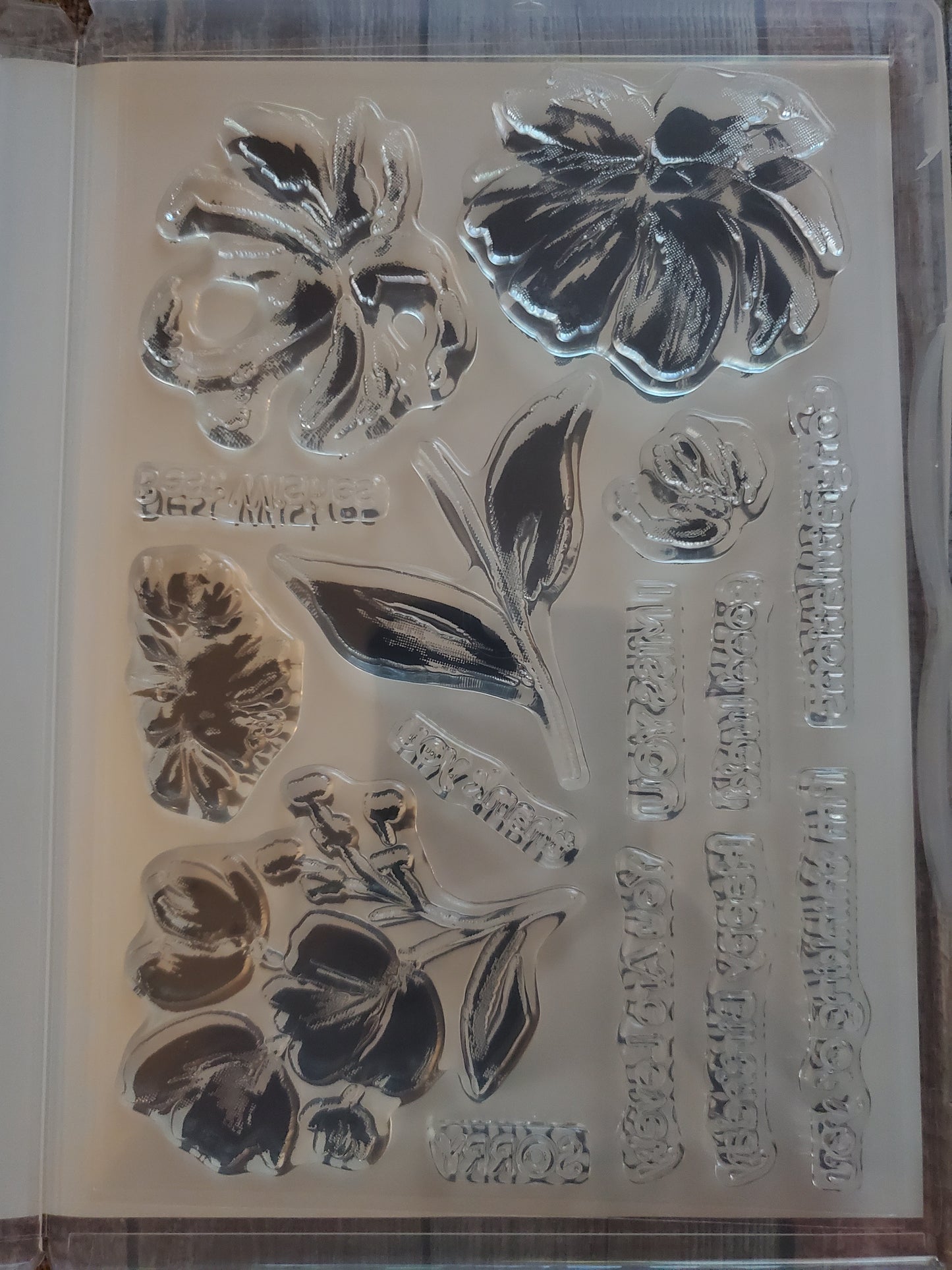 Stampin' UP! "Art Gallery" Stamp Set with "Floral Gallery" Dies