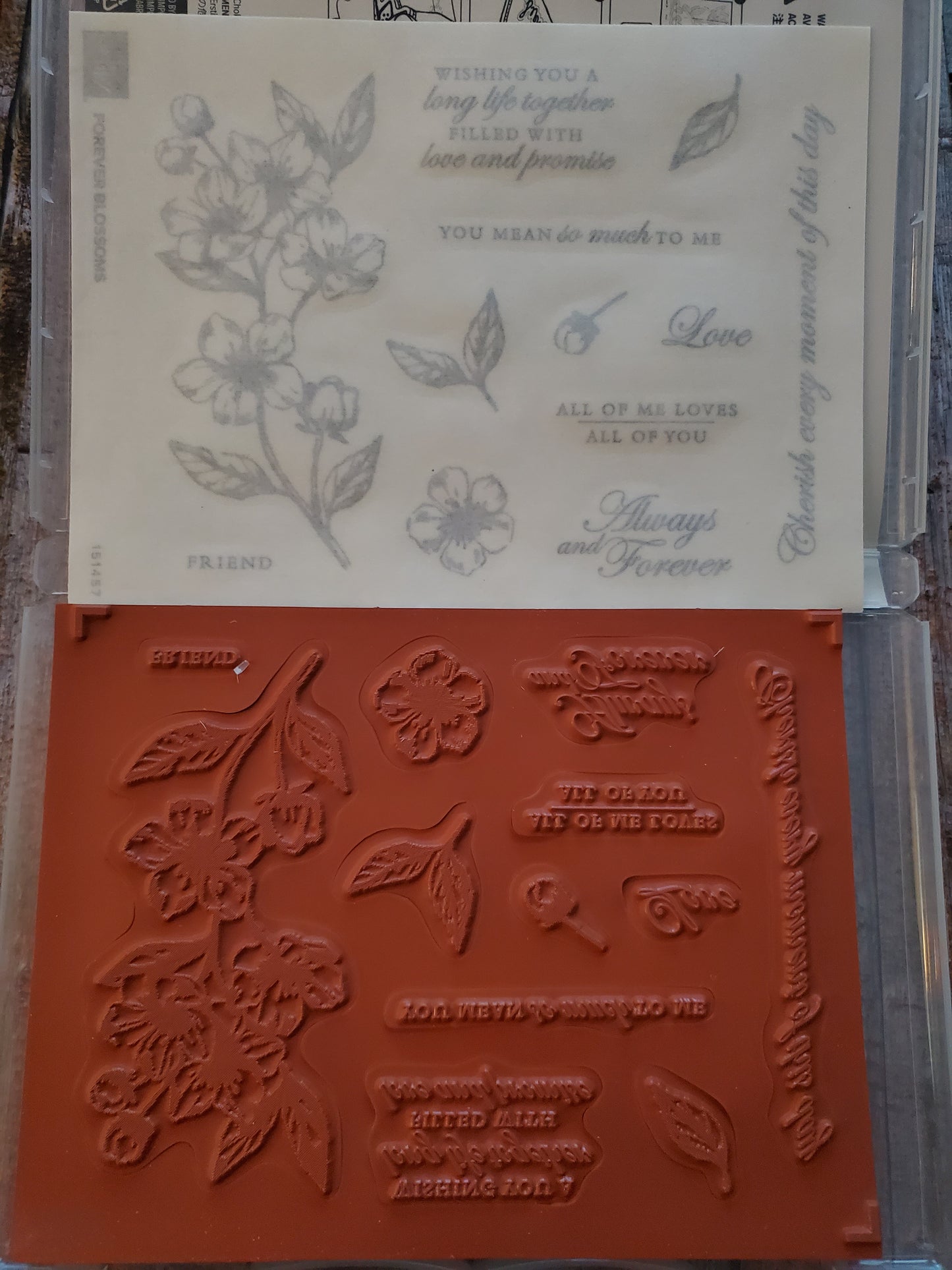 Stampin' UP! "Forever Blossoms" Stamp Set with "Cherry Blossoms" Dies