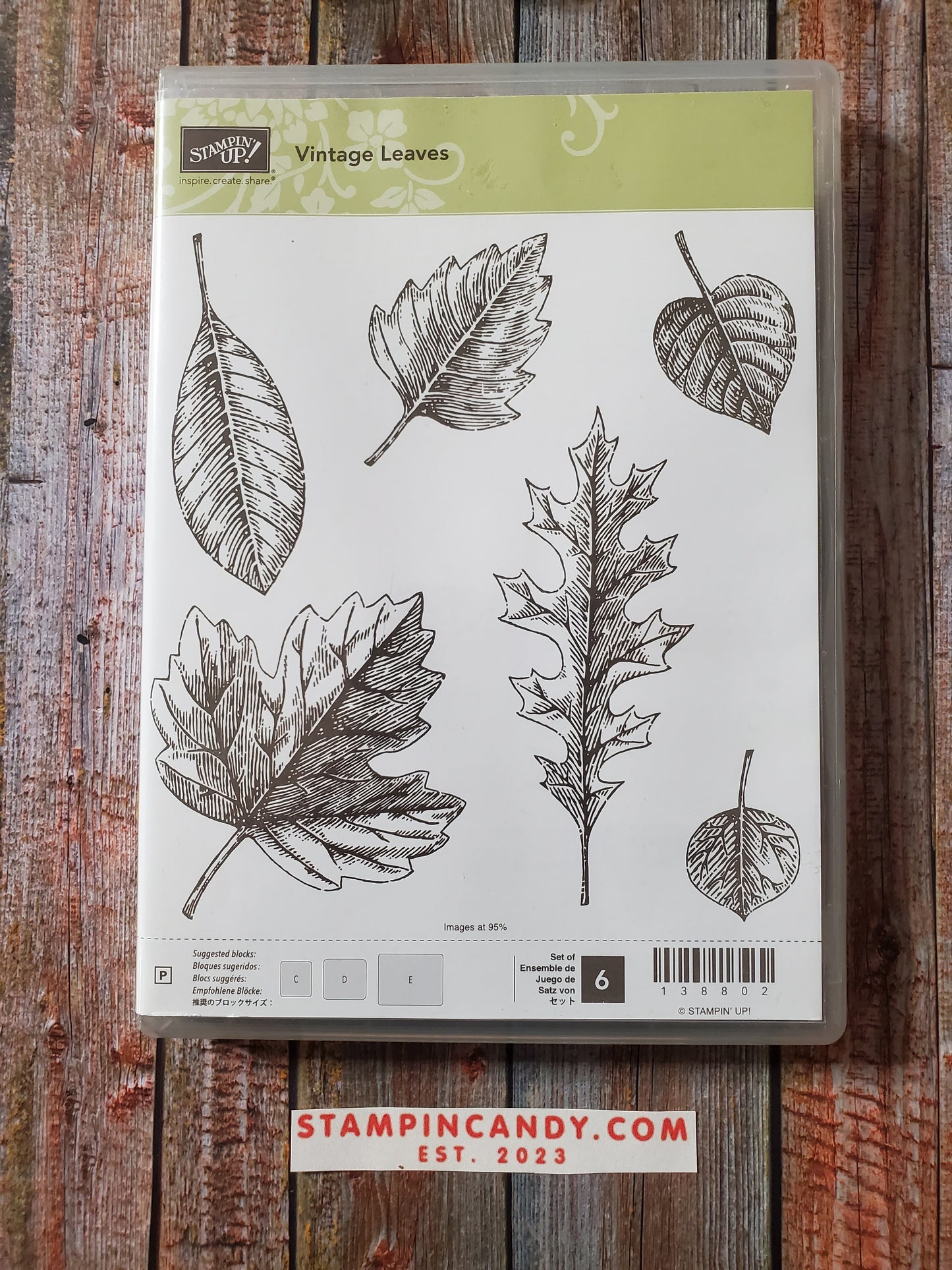 Stampin' UP! "Vintage Leaves" Stamp Set with "Leaflets" Dies