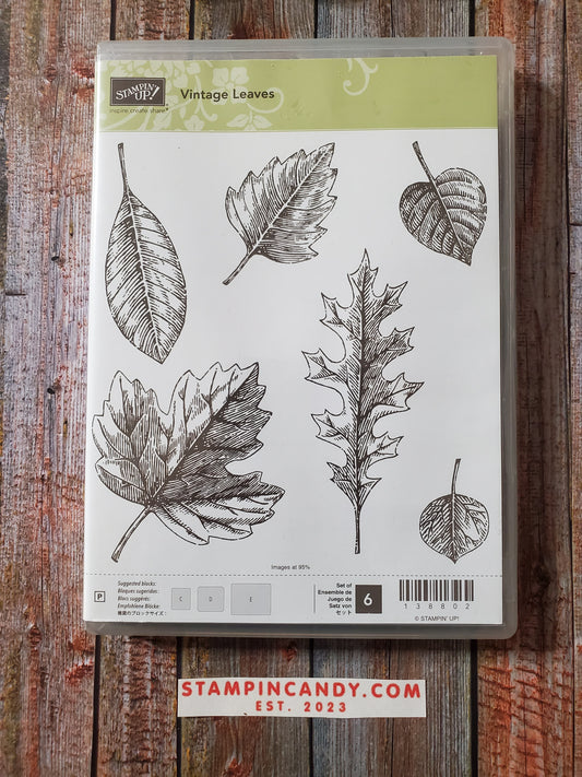 Stampin' UP! "Vintage Leaves" Stamp Set with "Leaflets" Dies