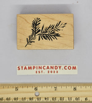 Fern Branch - PSX 1998 F-2384