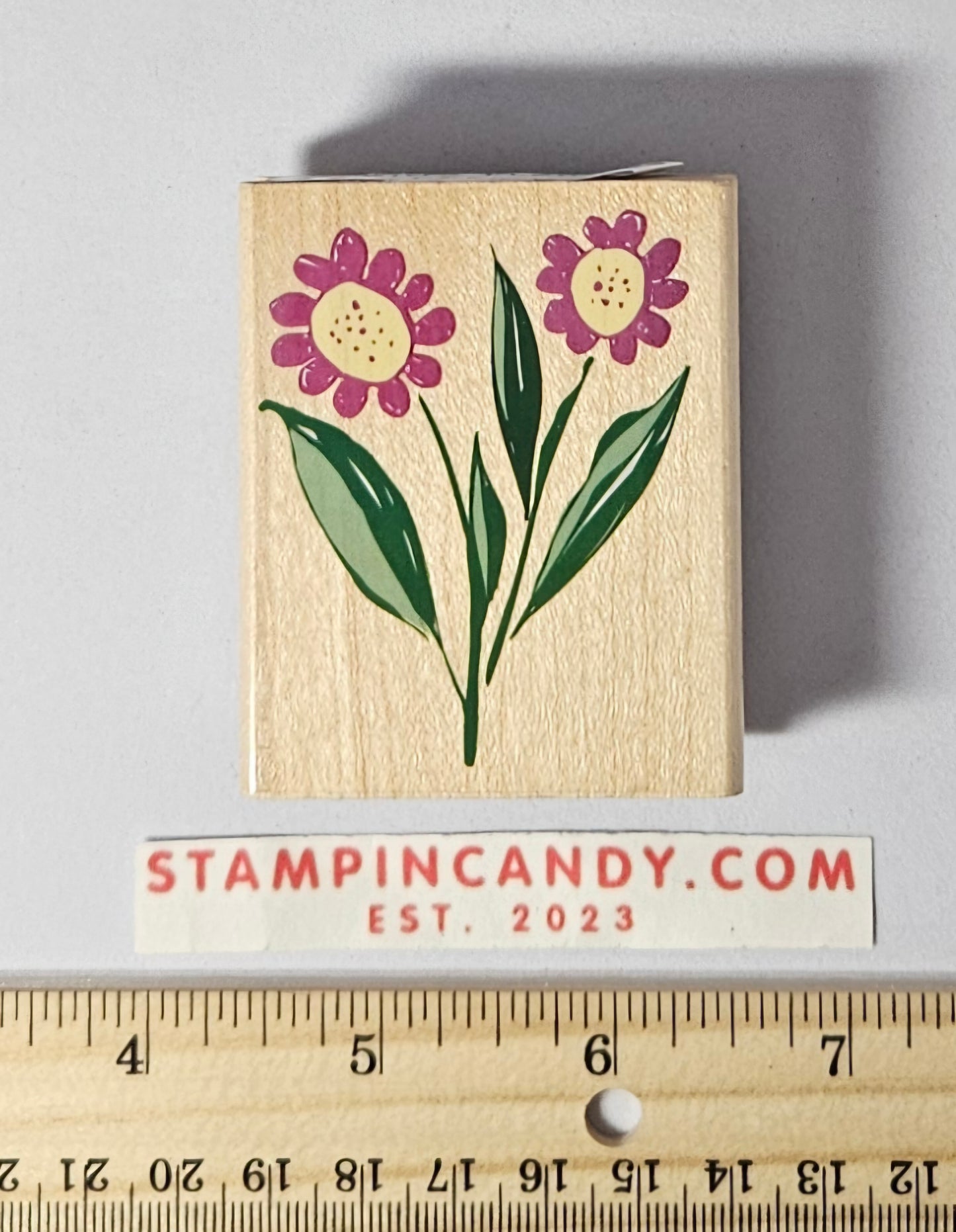 Designer Daisies Stamp - Hero Arts 2003 E2670