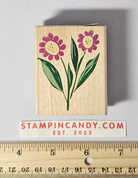 Designer Daisies Stamp - Hero Arts 2003 E2670