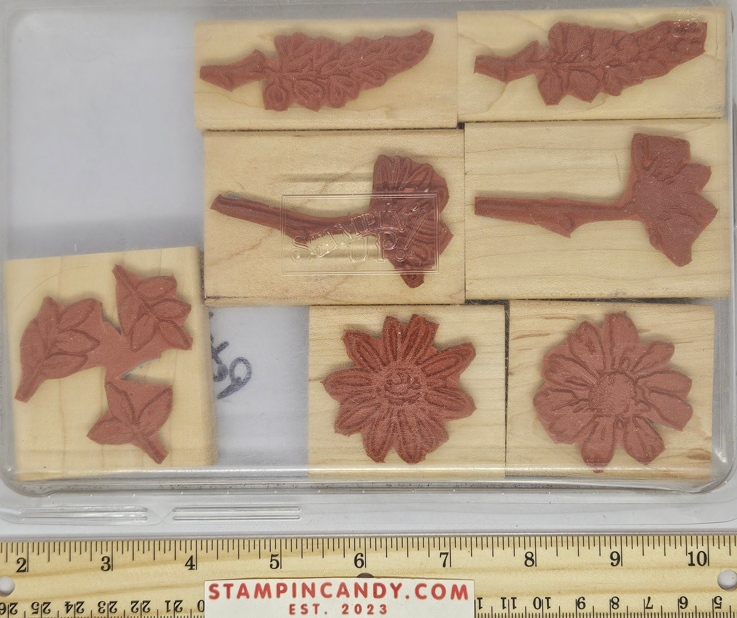 Stampin Up - Petal Prints Stamp Set