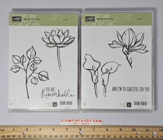 Stampin Up - Remarkable You (Sets 1 & 2 of 2)