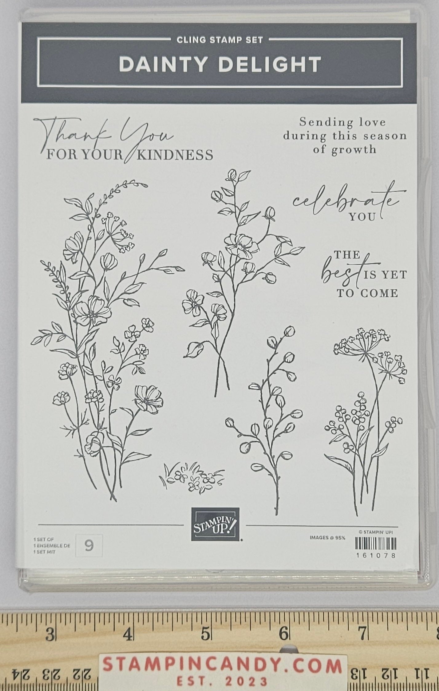 Stampin Up - Dainty Delight