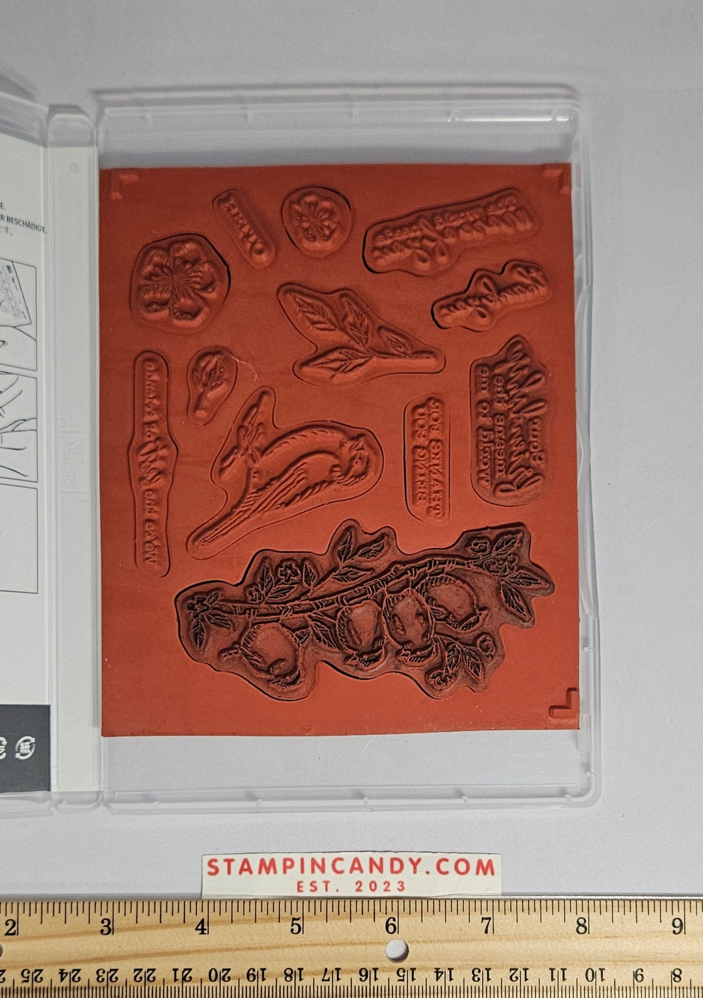 Stampin Up - Free as a Bird