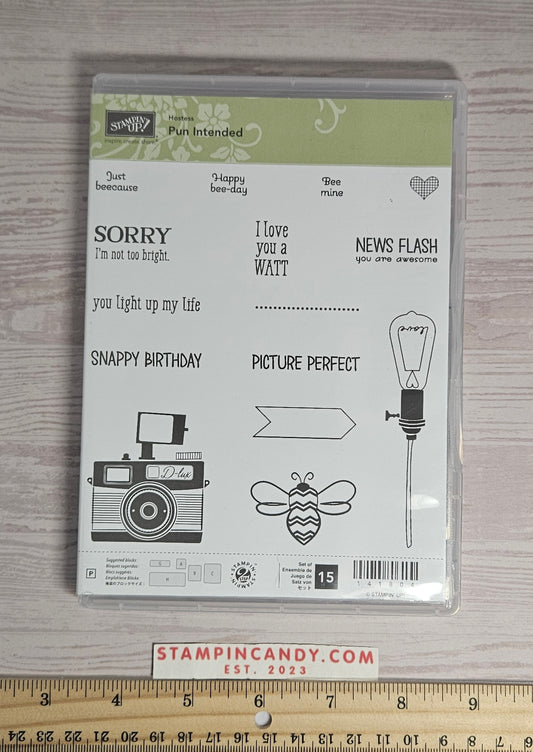 Stampin Up - Pun Intended