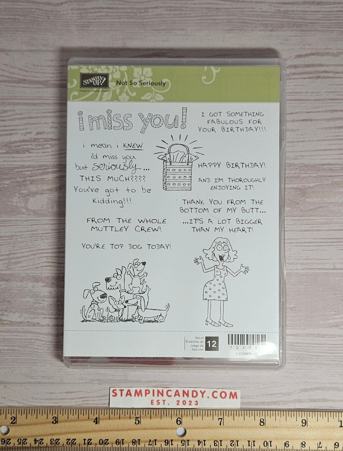 Stampin Up - Not So Seriously