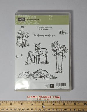 Stampin Up - In the Meadow