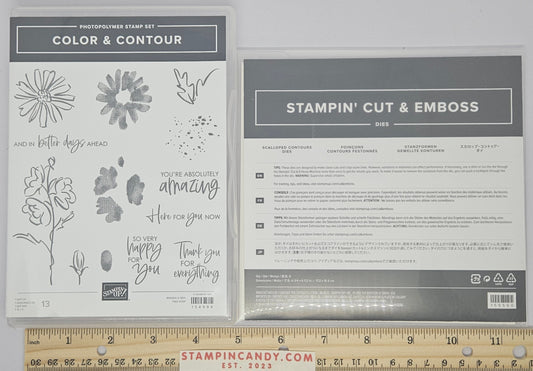 Stampin Up - Color & Contours with Scalloped Contours Dies