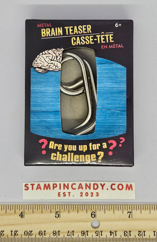 Metal Brain Teaser Puzzle