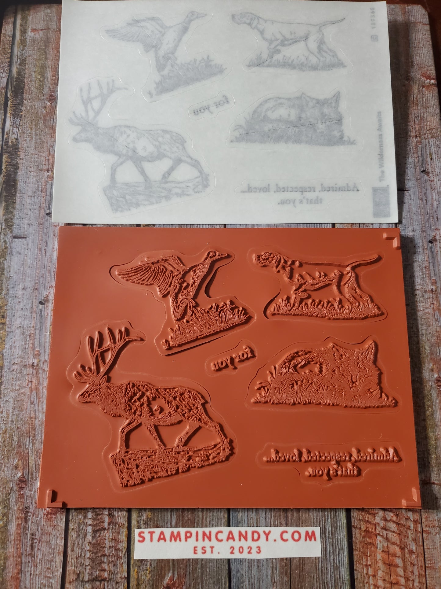 Stampin' UP! "The Wilderness Awaits" Stamp Set