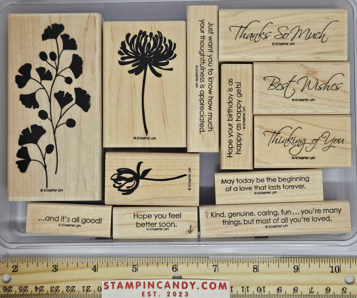 Stampin Up - Kind & Caring Thoughts Stamp Set