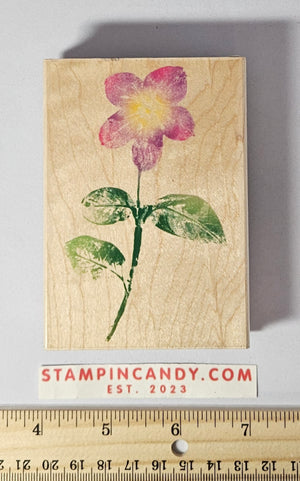 Jamaican Forget-Me-Not Stamp - Hero Arts 2005 H3305