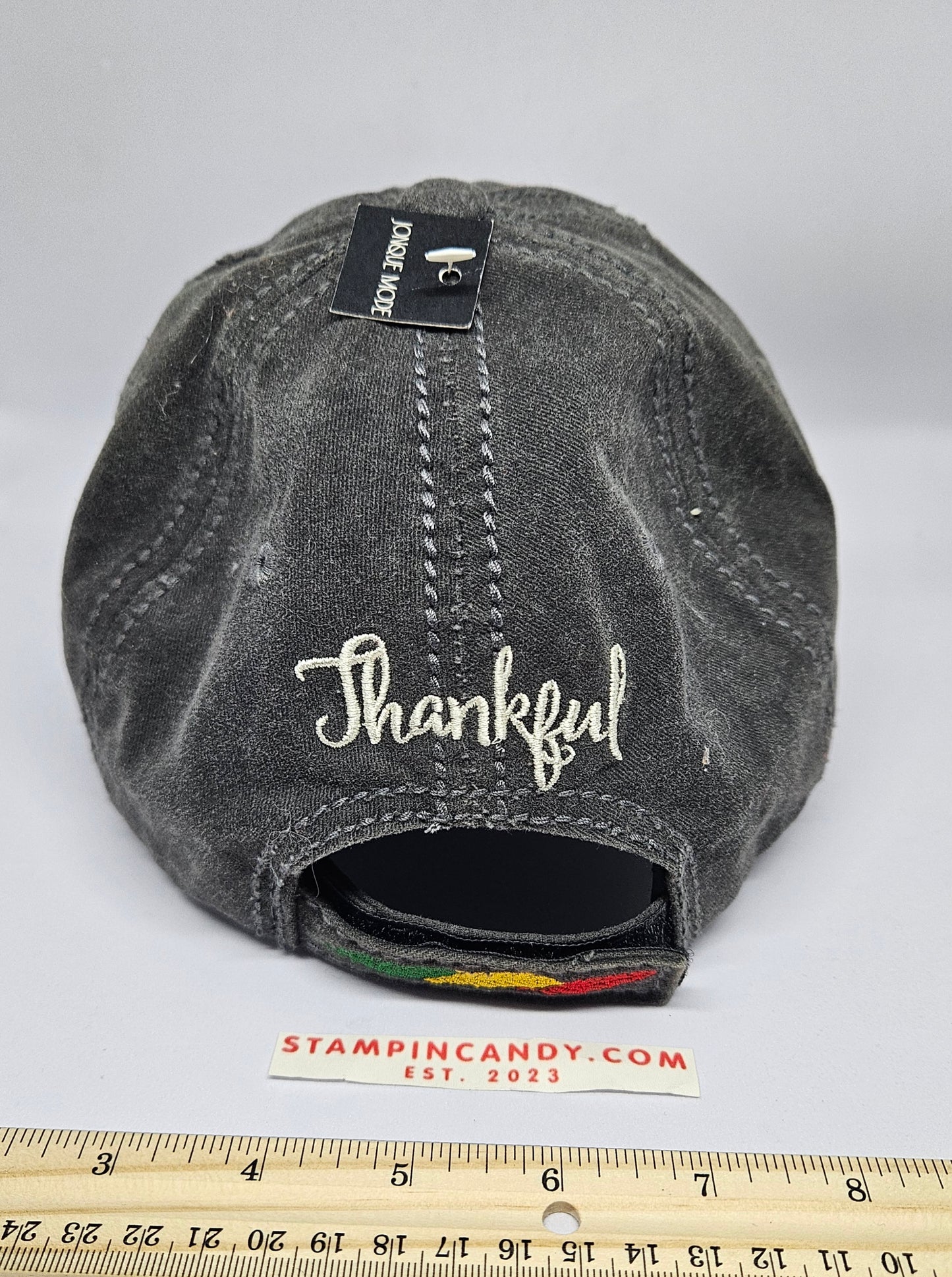 Thankful Hat / Cap - 4350 District