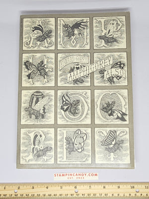 Descriptive image text