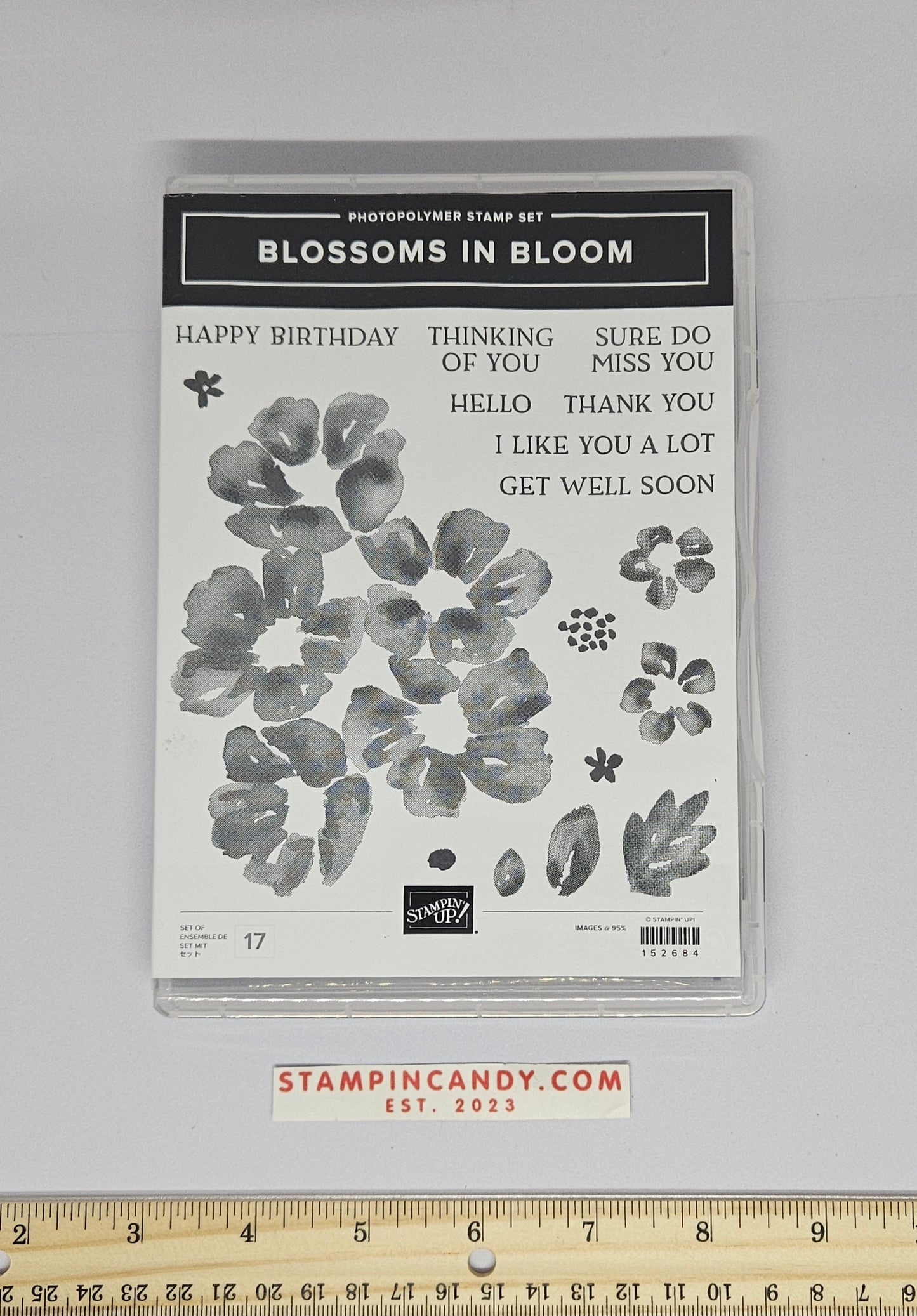 Stampin Up - Blossoms in Bloom and "Many Layered Blossoms" Dies