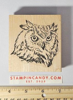 Great Horned Owl Stamp - Prickly Pear HH0042