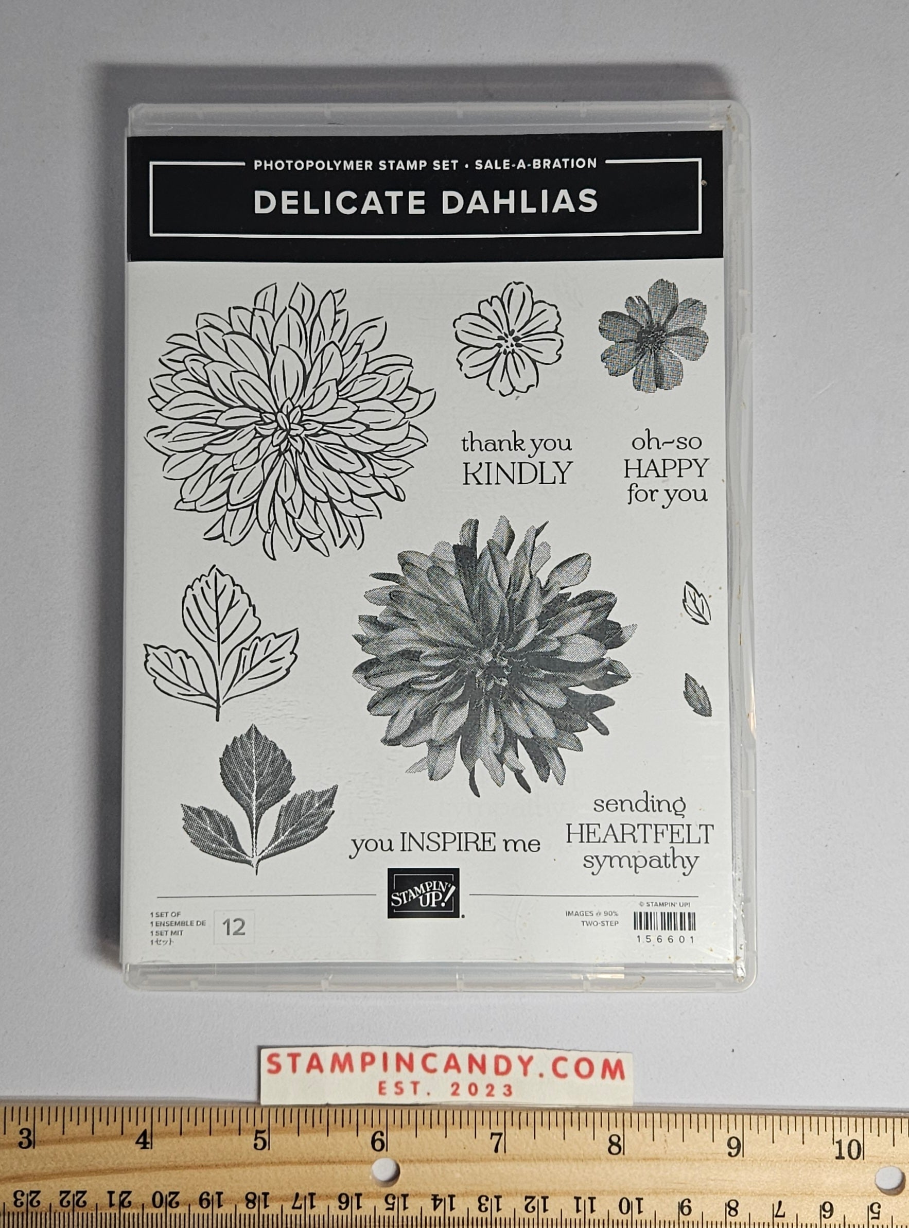 Stampin Up - Delicate Dahlias – StampinCandy.com